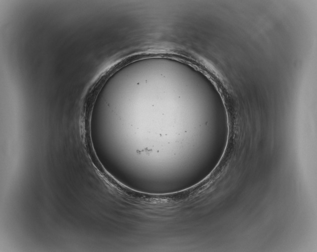 X0000116861456200912221129