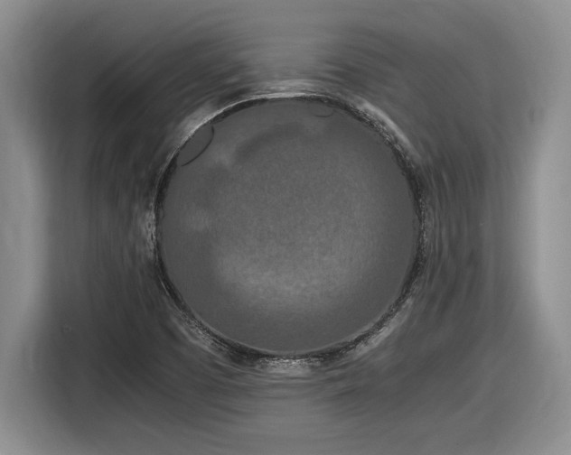 X0000116861457200912221129