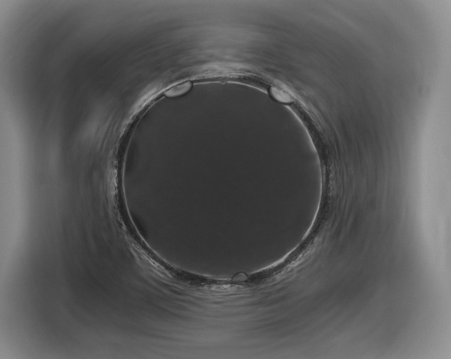 X0000116861459200912221129