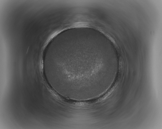 X0000116861461200912221129