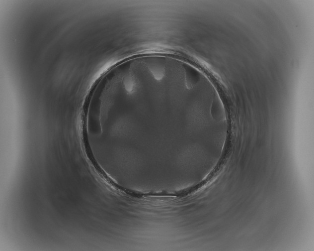 X0000116861463200912221129