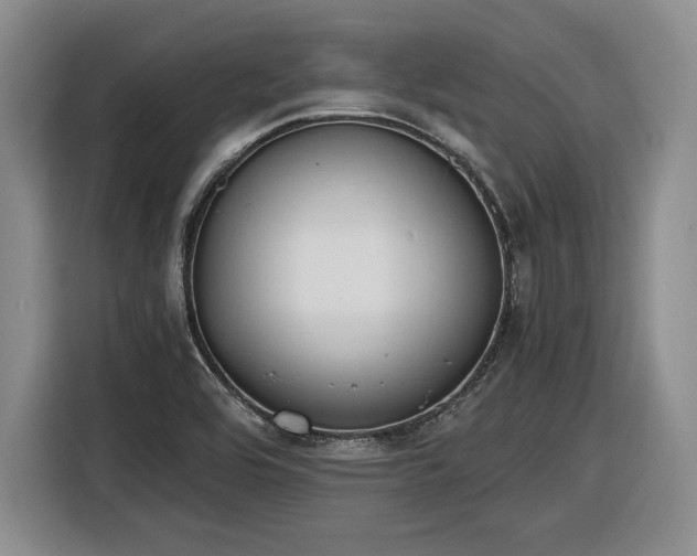 X0000116861464200912221129
