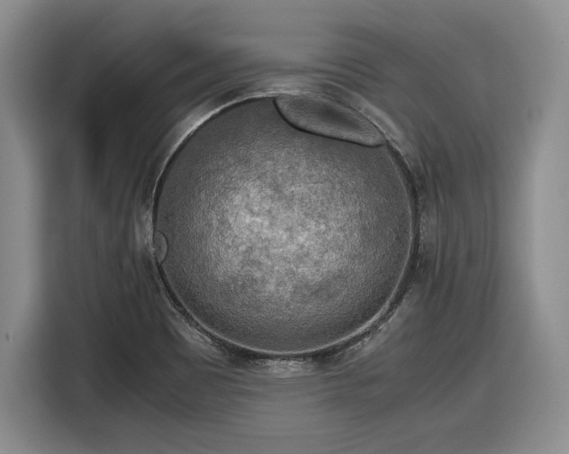 X0000116861465200912221129