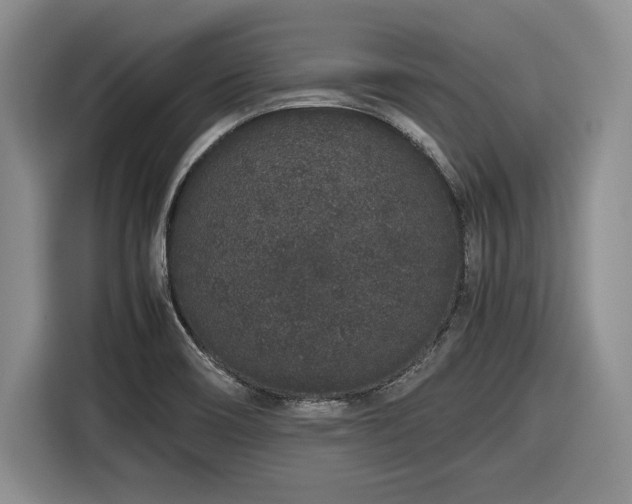 X0000116861466200912221129