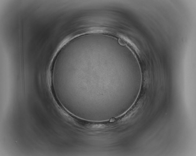 X0000116861467200912221129