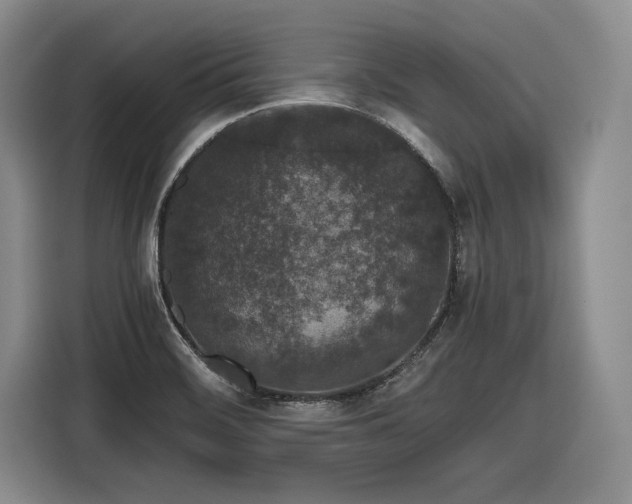 X0000116861468200912221129