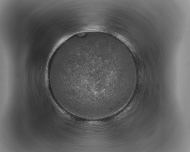 X0000116861469200912221129