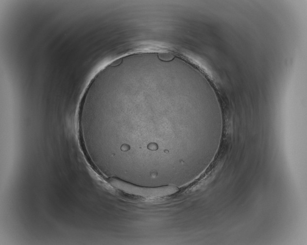 X0000116861471200912221129