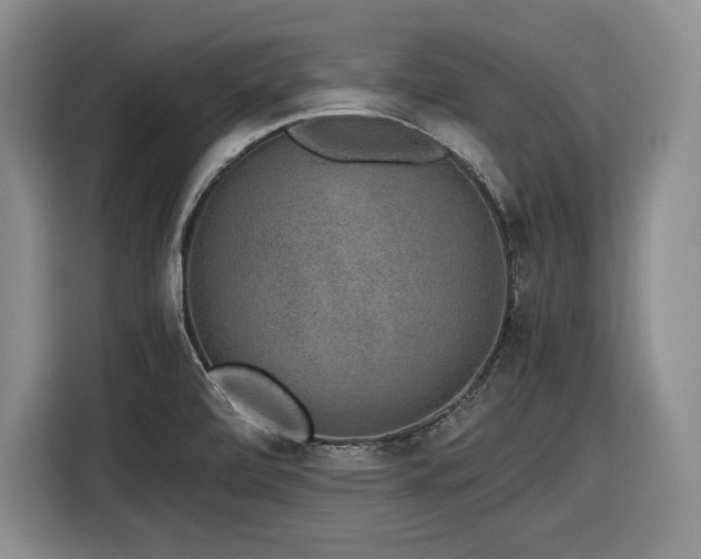 X0000116861472200912221129