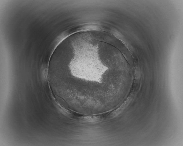 X0000116861473200912221129