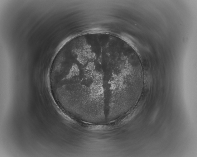 X0000116861474200912221129