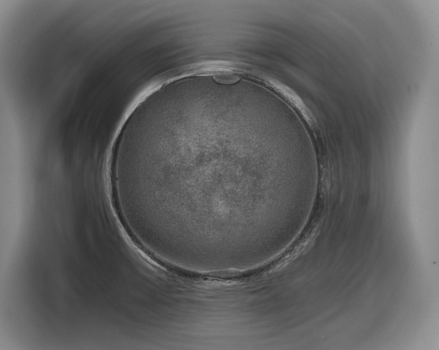 X0000116861475200912221129