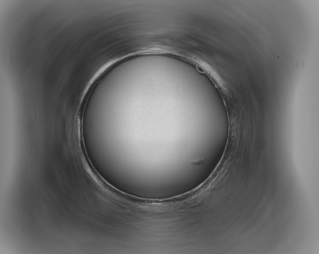 X0000116861476200912221129