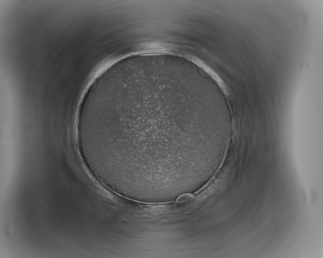 X0000116861477200912221129