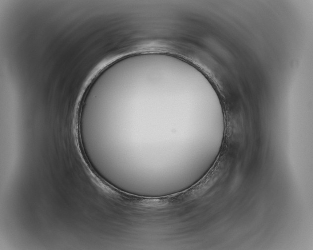 X0000116861478200912221129