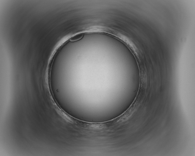 X0000116861480200912221129