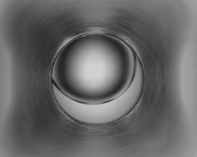 X0000116861481200912221129