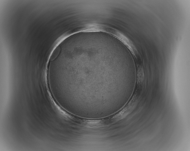 X0000116861484200912221129