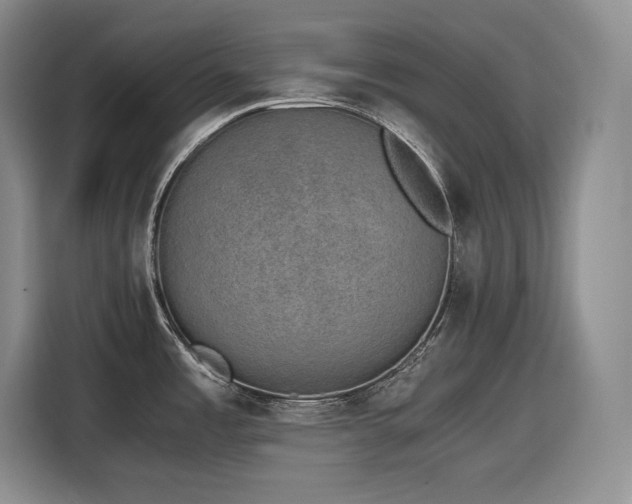 X0000116861485200912221129