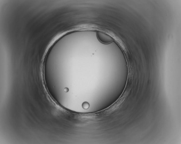 X0000116861486200912221129