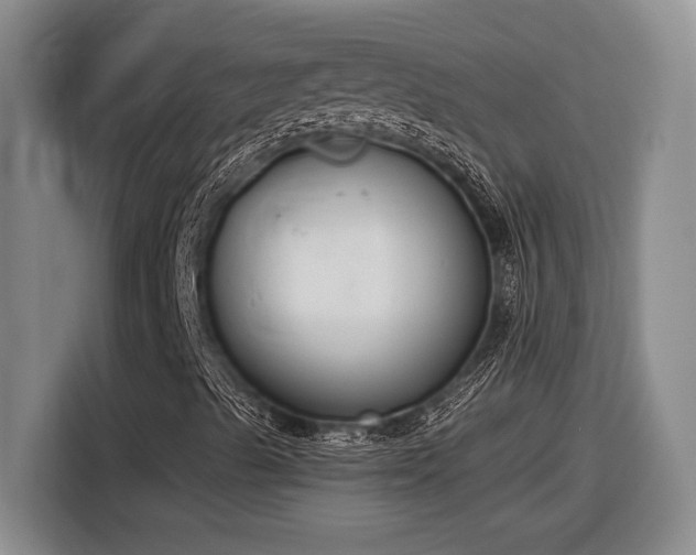 X0000116861489200912221128