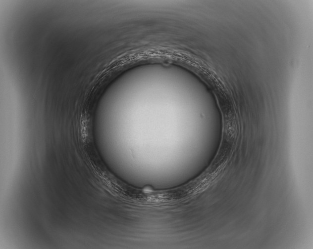 X0000116861490200912221128