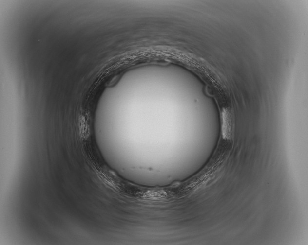 X0000116861491200912221128