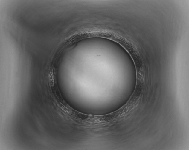 X0000116861493200912221128