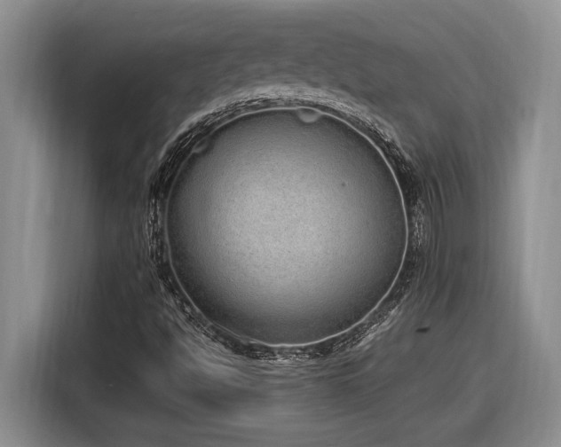 X0000116861494200912221128
