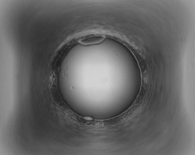 X0000116861495200912221128