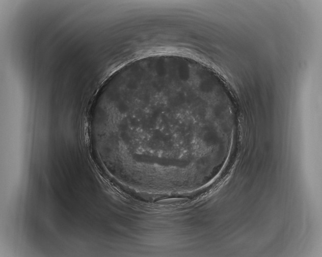X0000116861497200912221128