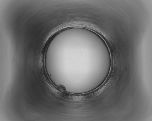 X0000116861498200912221128