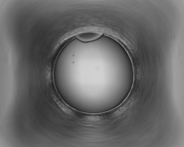 X0000116861499200912221128