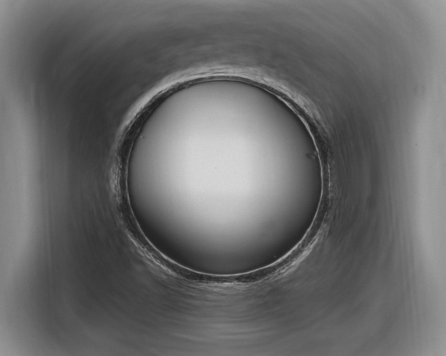 X0000116861502200912221128