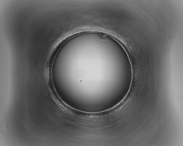 X0000116861503200912221128