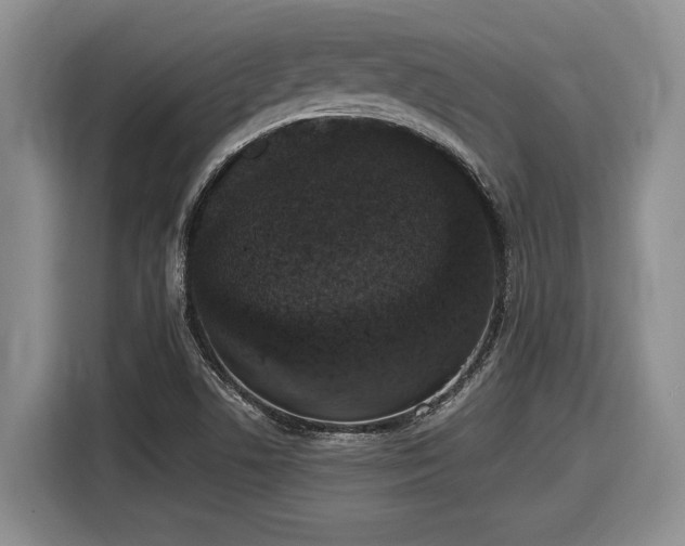 X0000116861506200912221128