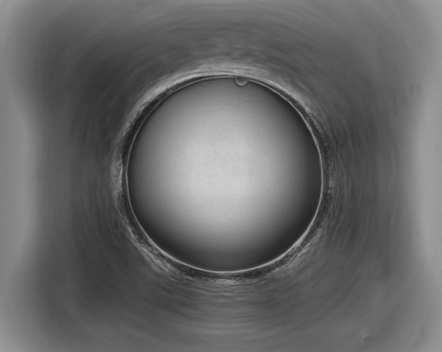 X0000116861507200912221128