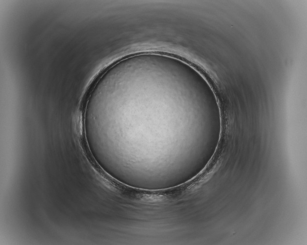 X0000116861509200912221128