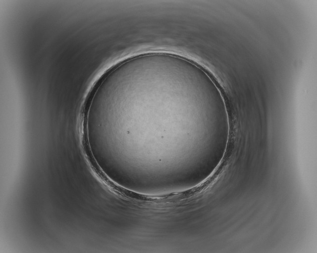 X0000116861511200912221128