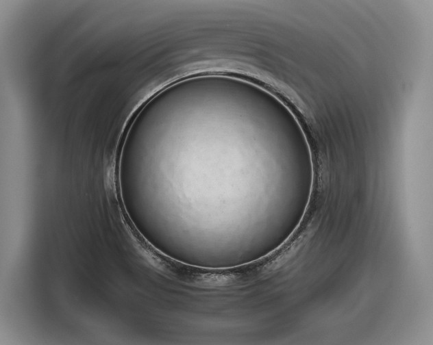 X0000116861513200912221128