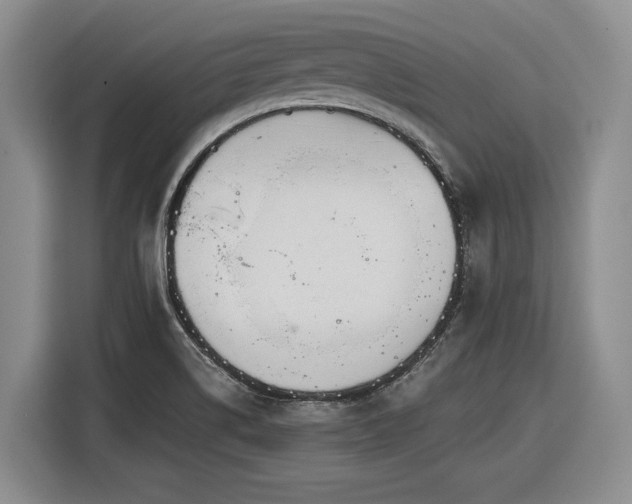 X0000116861514200912221128