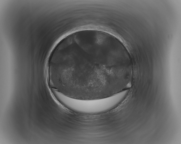 X0000116861515200912221128