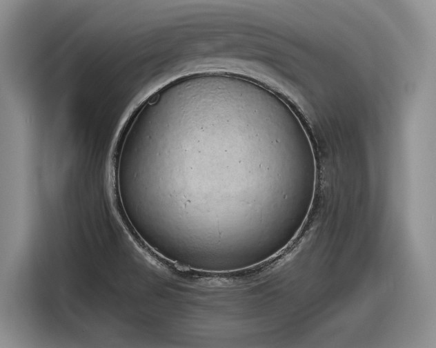 X0000116861517200912221128