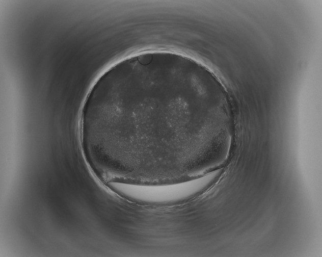 X0000116861519200912221128