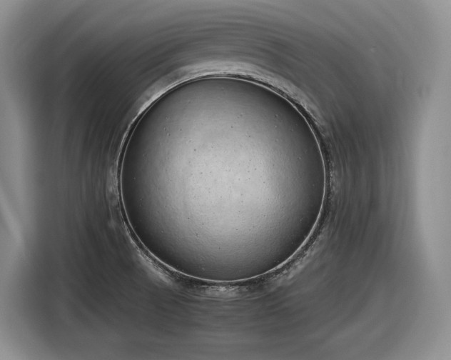 X0000116861521200912221128
