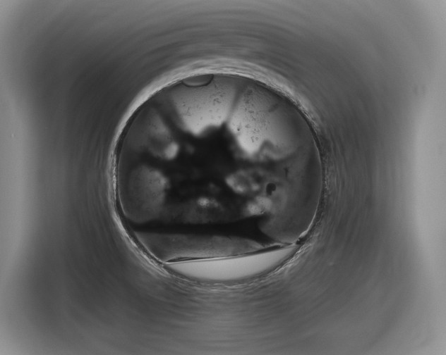 X0000116861522200912221128