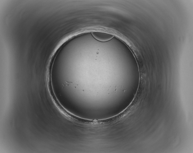 X0000116861523200912221128