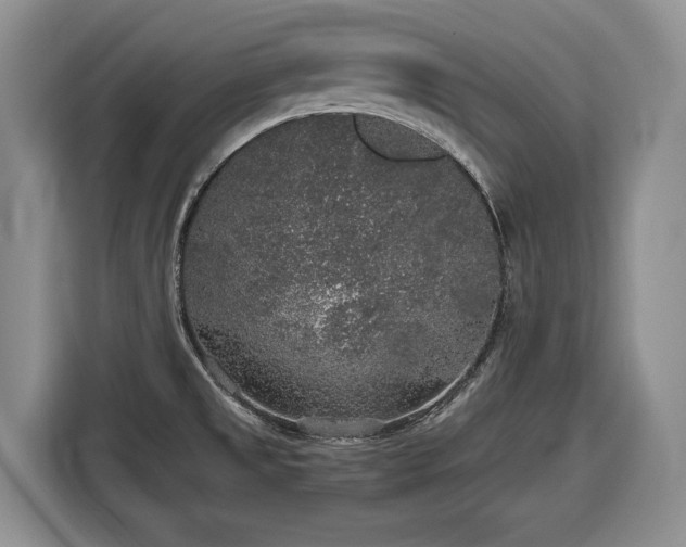 X0000116861525200912221128