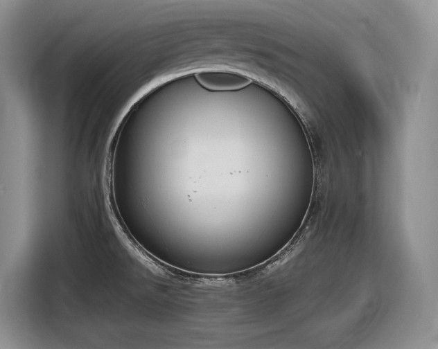 X0000116861526200912221128