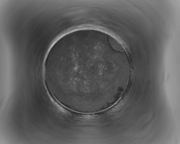 X0000116861527200912221128